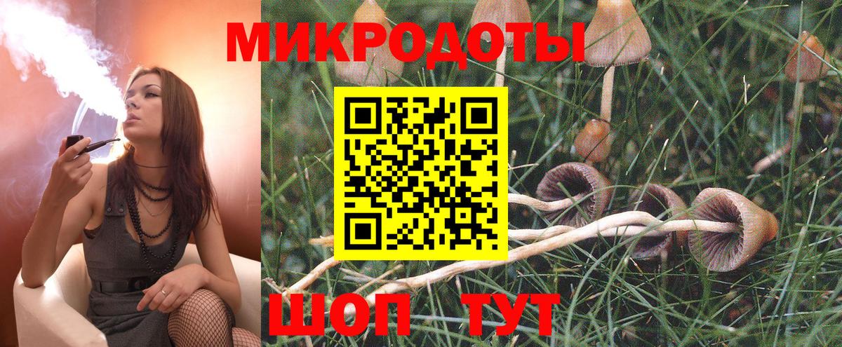 Галлюциногенные грибы мицелий Сатка