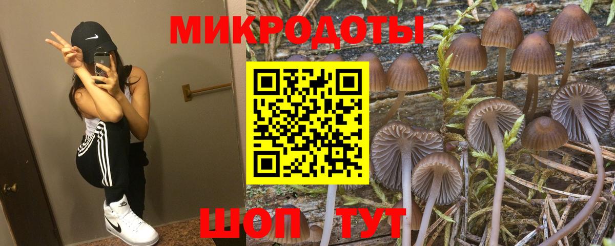 купить наркотик  Псилоцибиновые грибы ЛСД  Вход с VPN  Сатка 